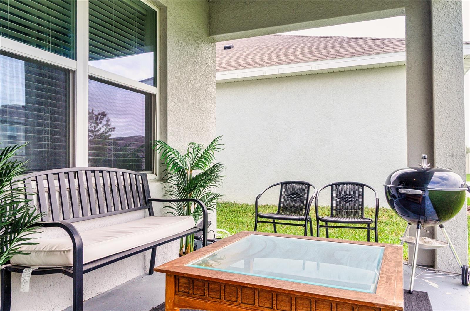 33668 ELM HILL BR, WESLEY CHAPEL, FL, 33545