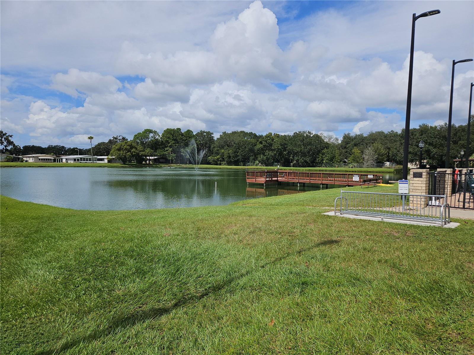 3130 GREAT OAK ST, WESLEY CHAPEL, FL, 33543