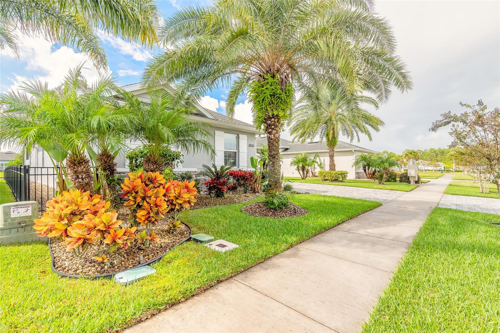 3020 KING PALM DR, NEW SMYRNA BEACH, FL, 32168