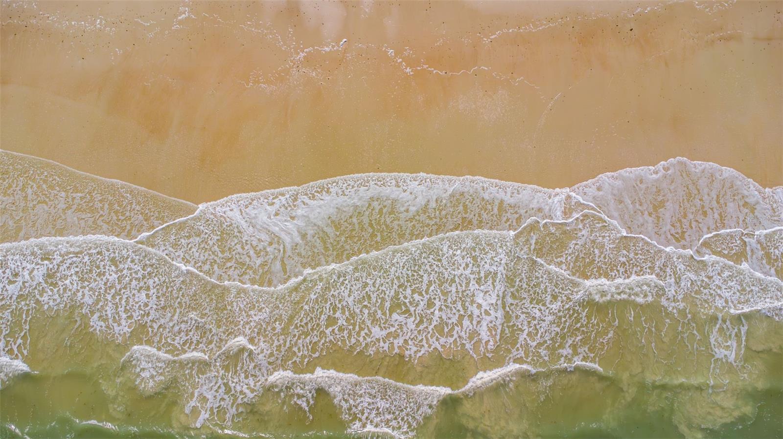 2401 S ATLANTIC AVE #503A, NEW SMYRNA BEACH, FL, 32169