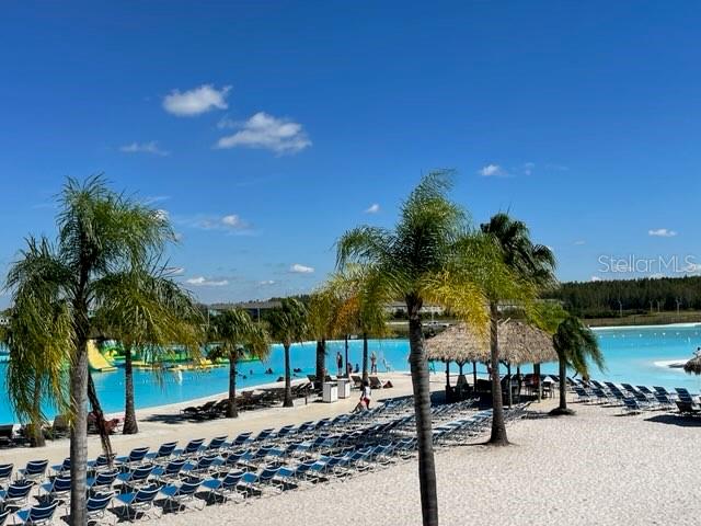 32561 TURTLE GRACE LOOP, WESLEY CHAPEL, FL, 33545