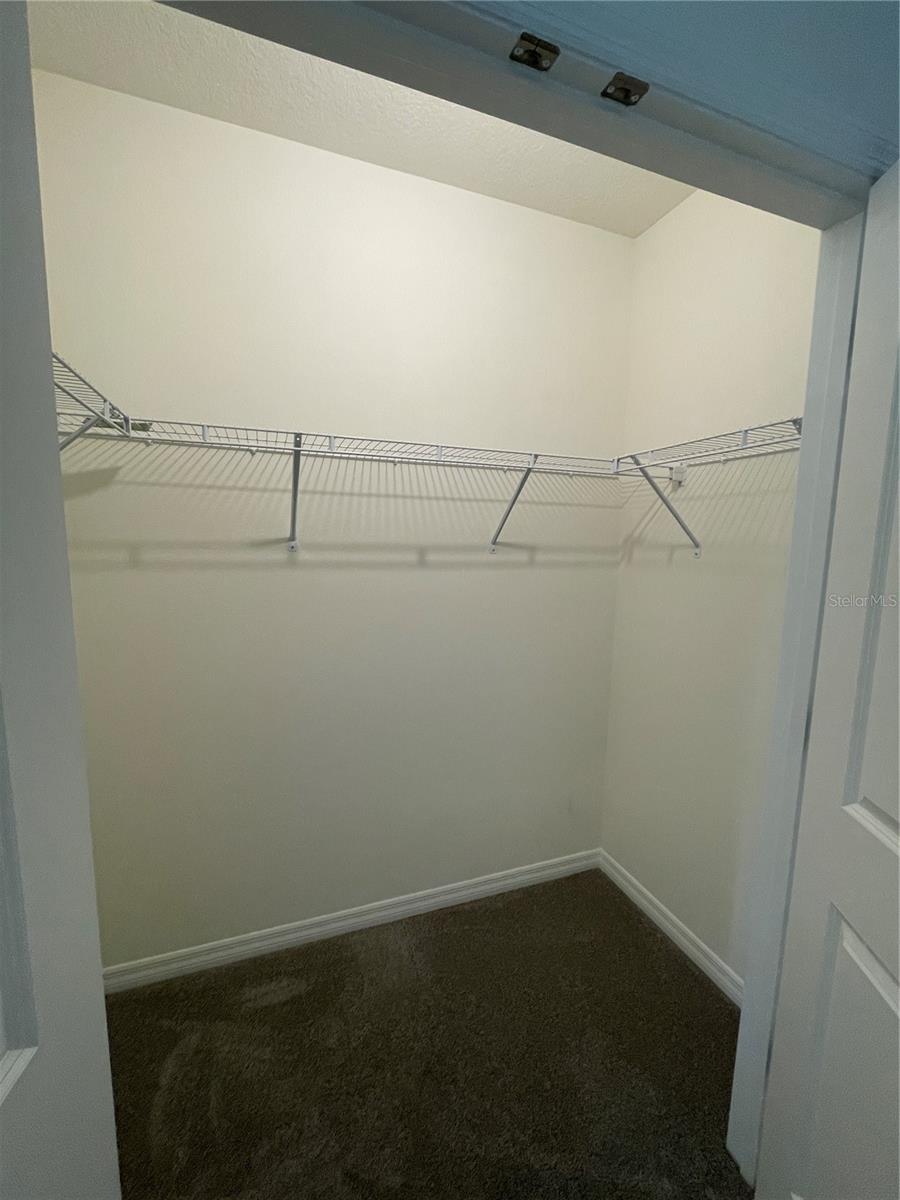 32561 TURTLE GRACE LOOP, WESLEY CHAPEL, FL, 33545