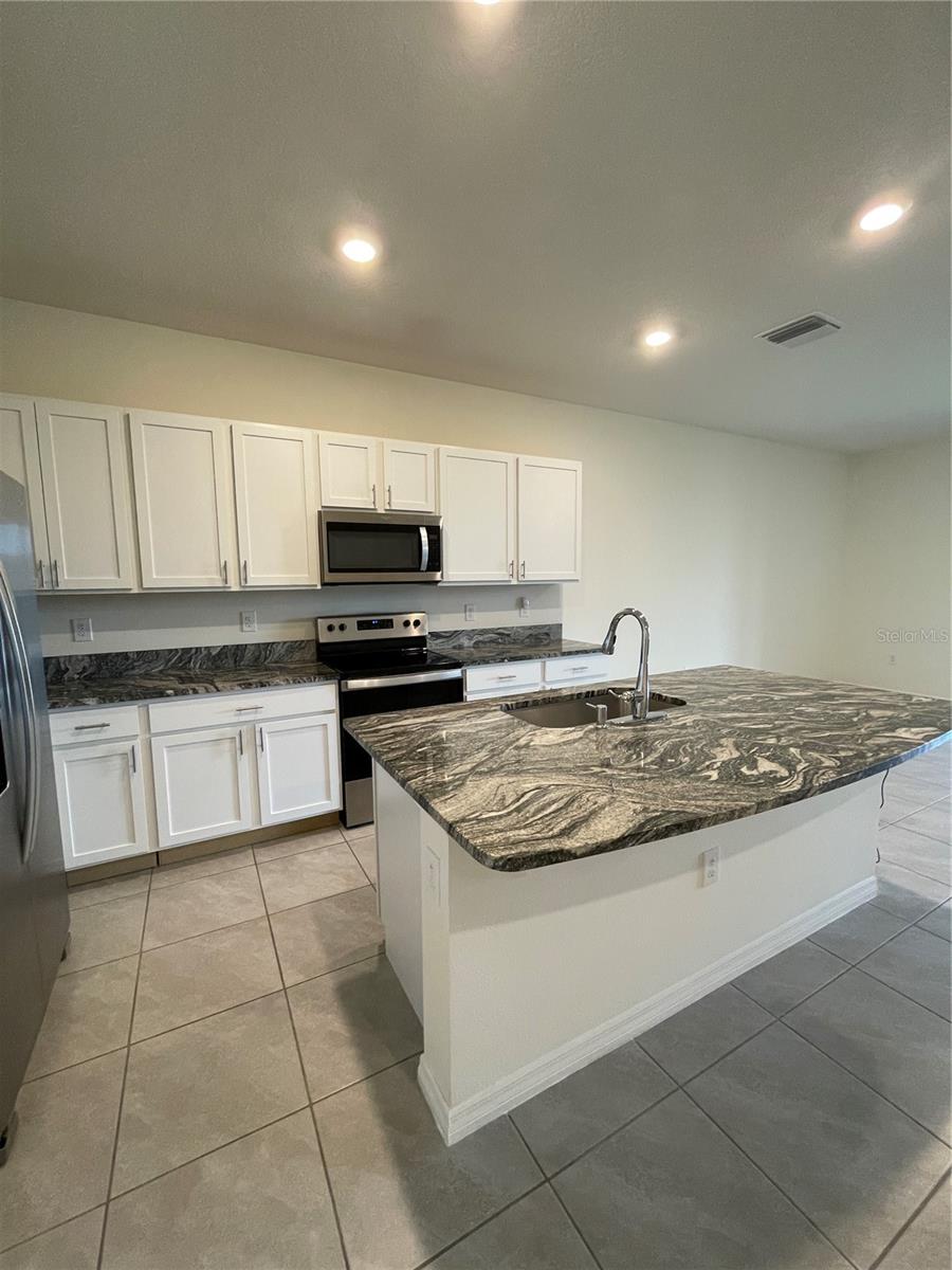 32561 TURTLE GRACE LOOP, WESLEY CHAPEL, FL, 33545