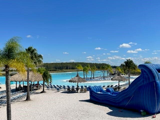 32561 TURTLE GRACE LOOP, WESLEY CHAPEL, FL, 33545