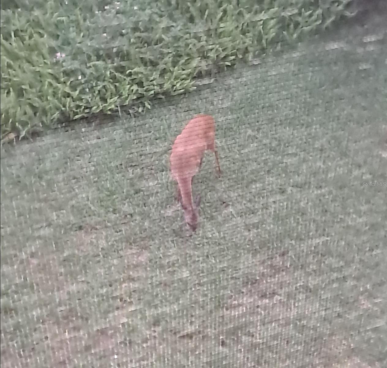 32 NAVARRA CT, ST AUGUSTINE, FL, 32086