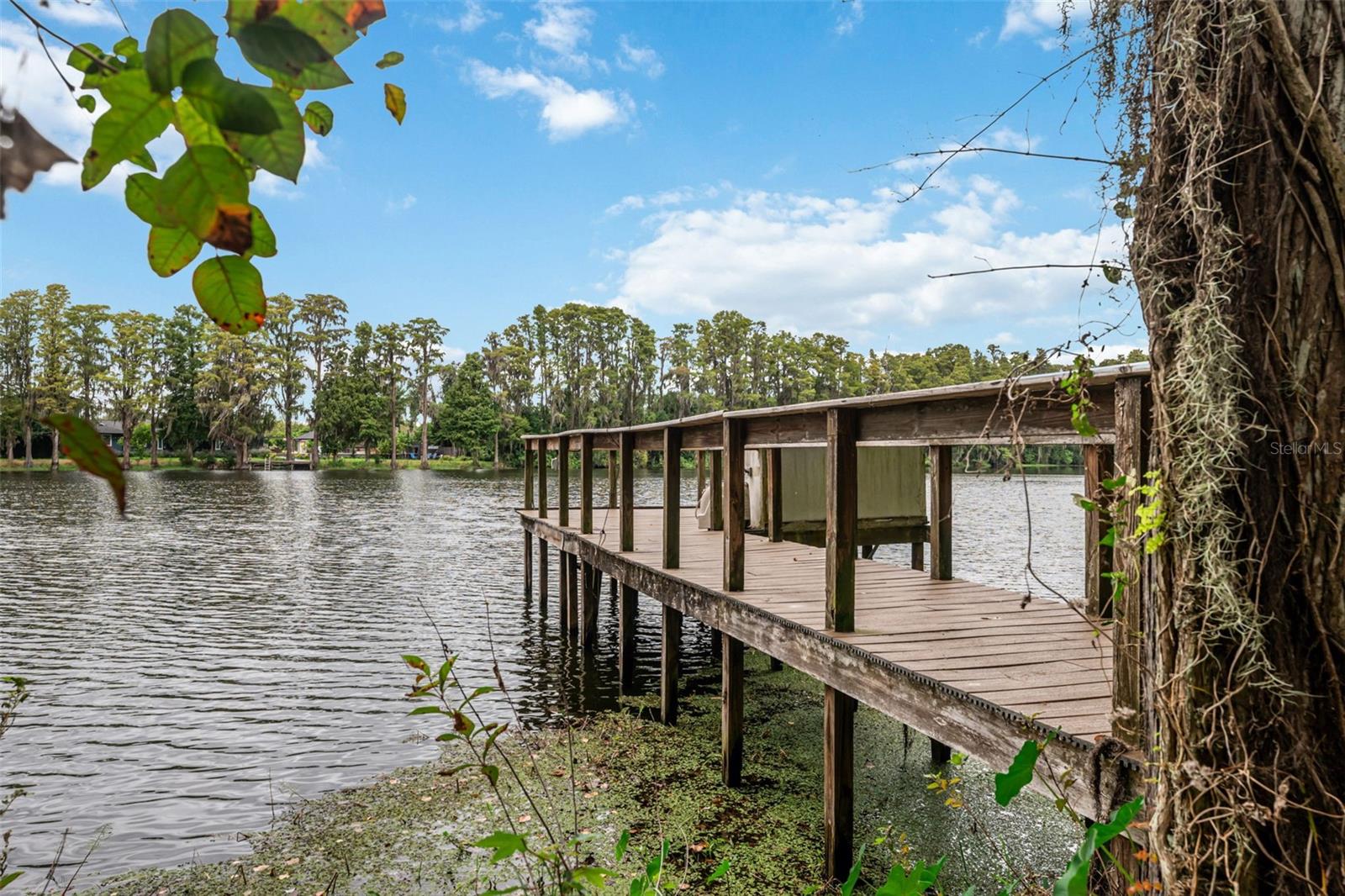 21817 DUPREE DR, LAND O LAKES, FL, 34639