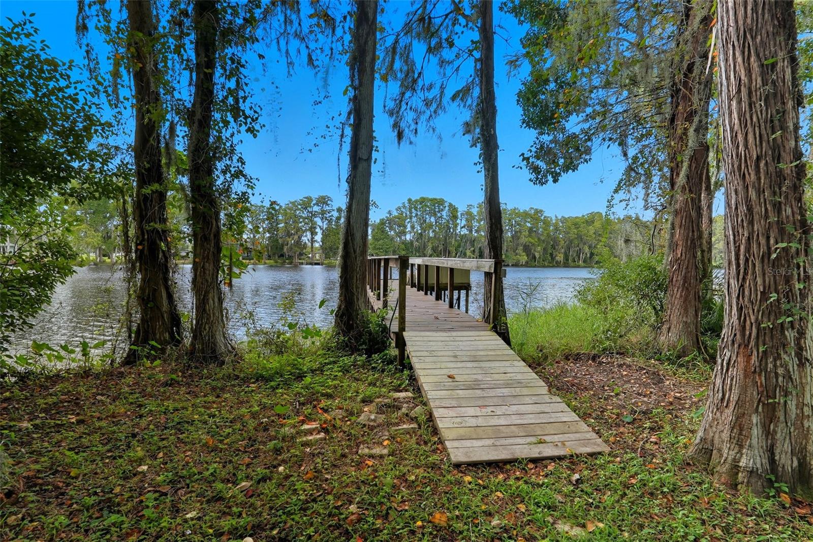 21817 DUPREE DR, LAND O LAKES, FL, 34639