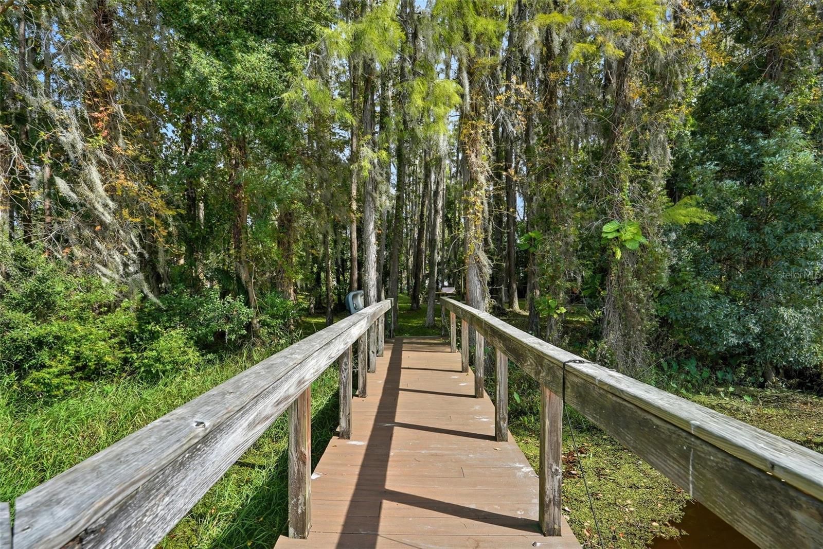 21817 DUPREE DR, LAND O LAKES, FL, 34639