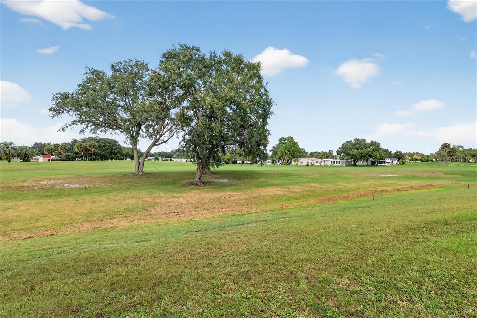 1715 LILLY LN, LADY LAKE, FL, 32159