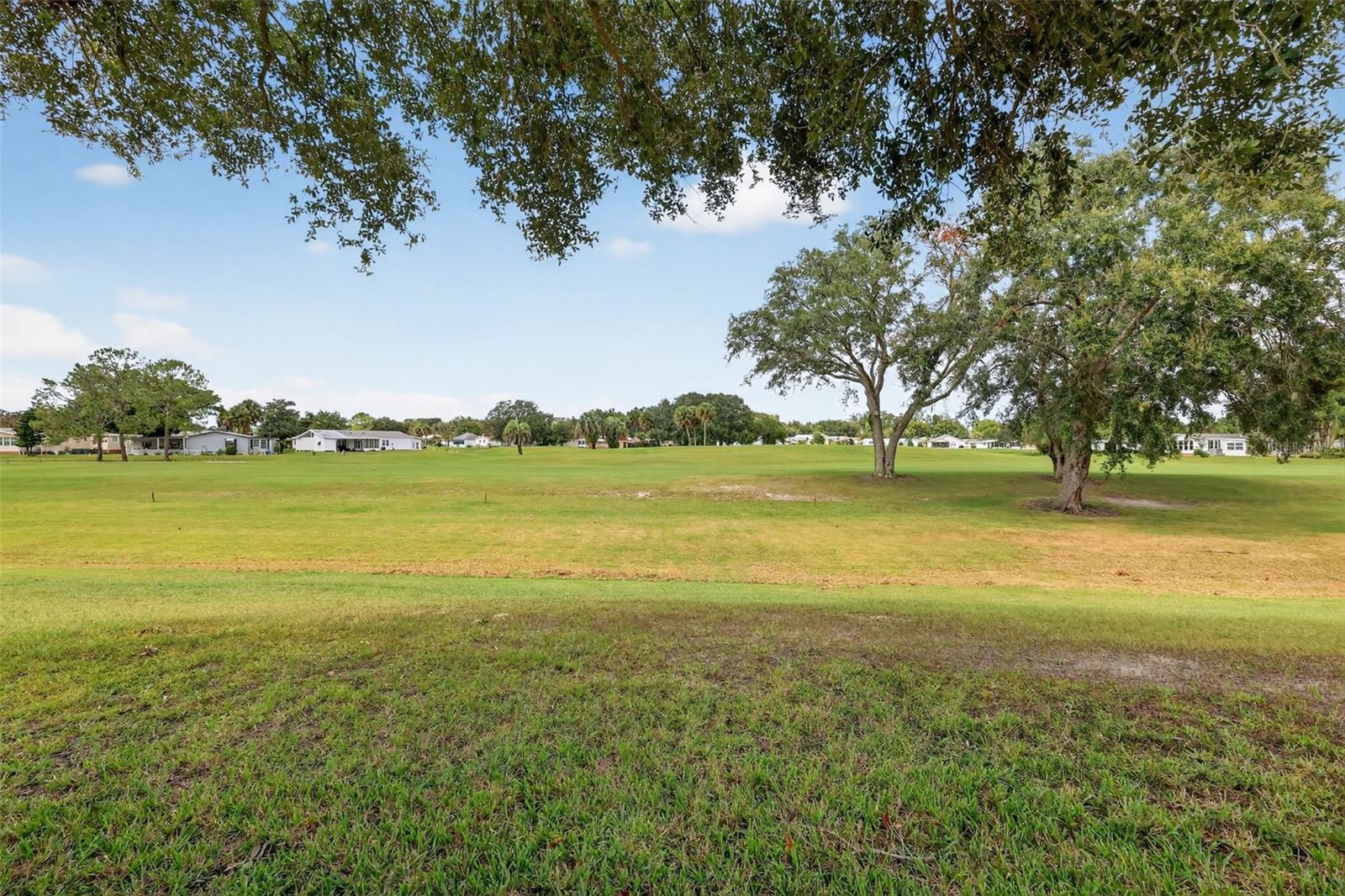 1715 LILLY LN, LADY LAKE, FL, 32159