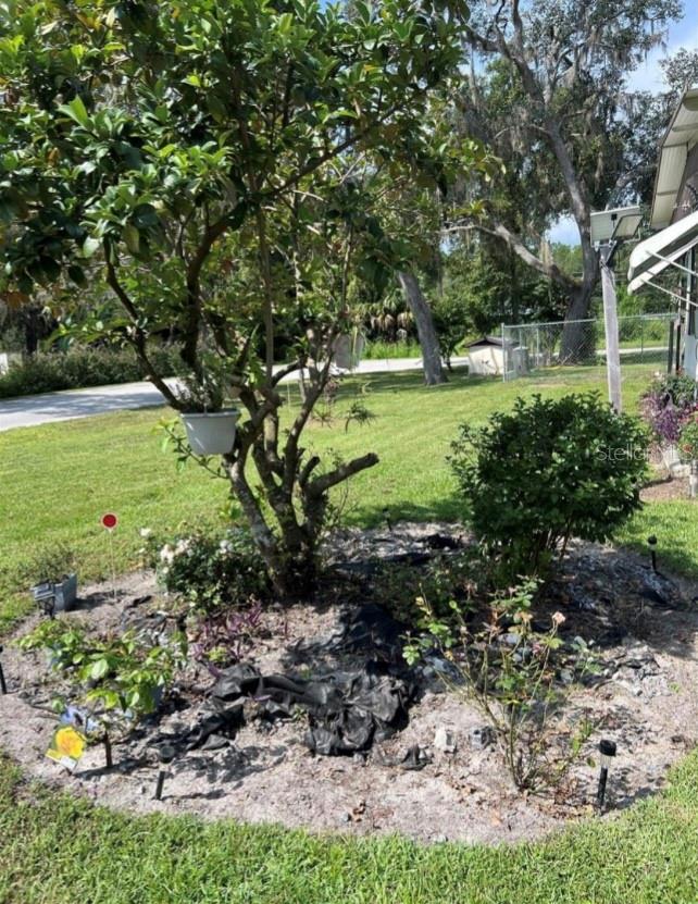 6615 N IRIS DR, HERNANDO, FL, 34442