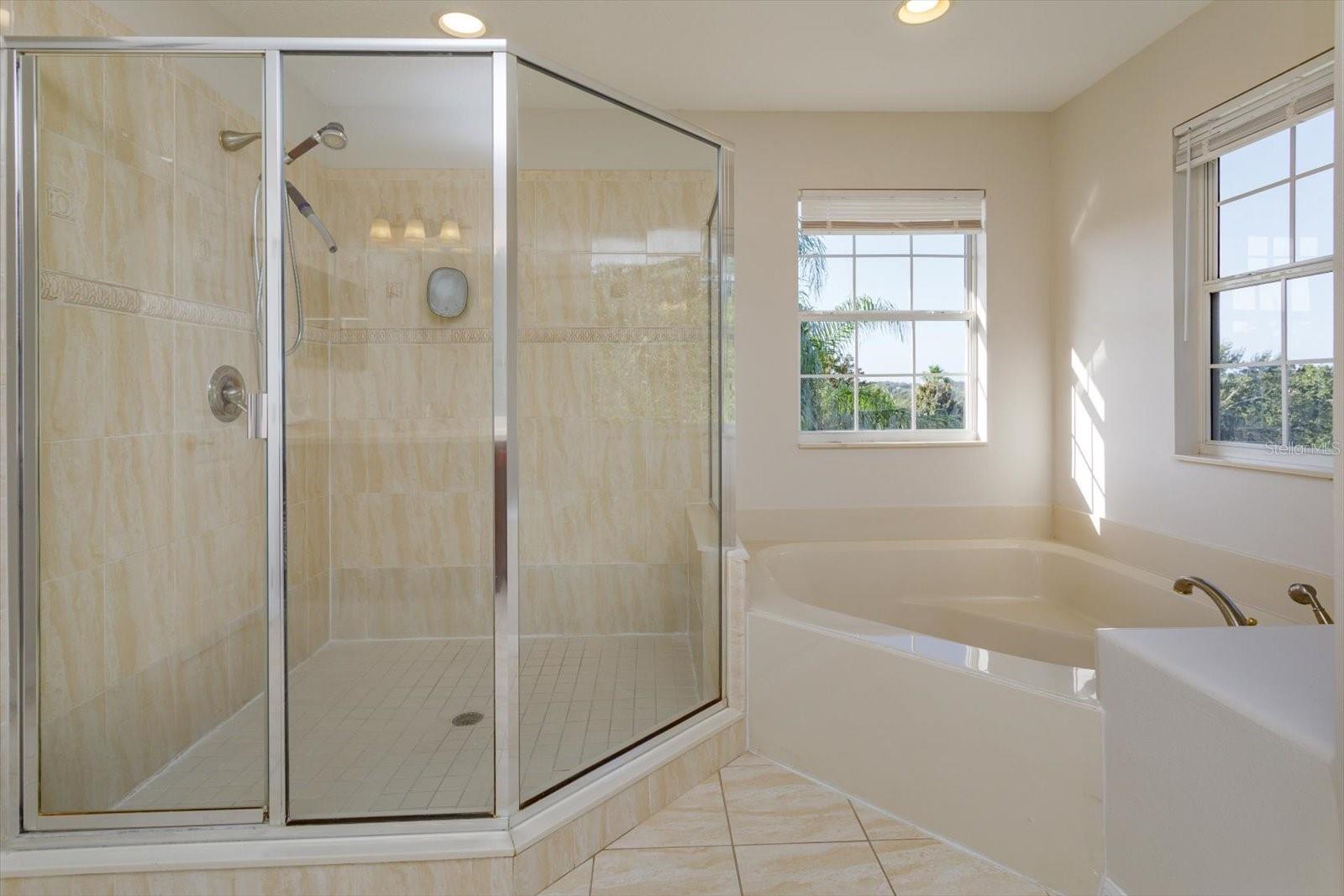 12134 STILL MEADOW DR, CLERMONT, FL, 34711