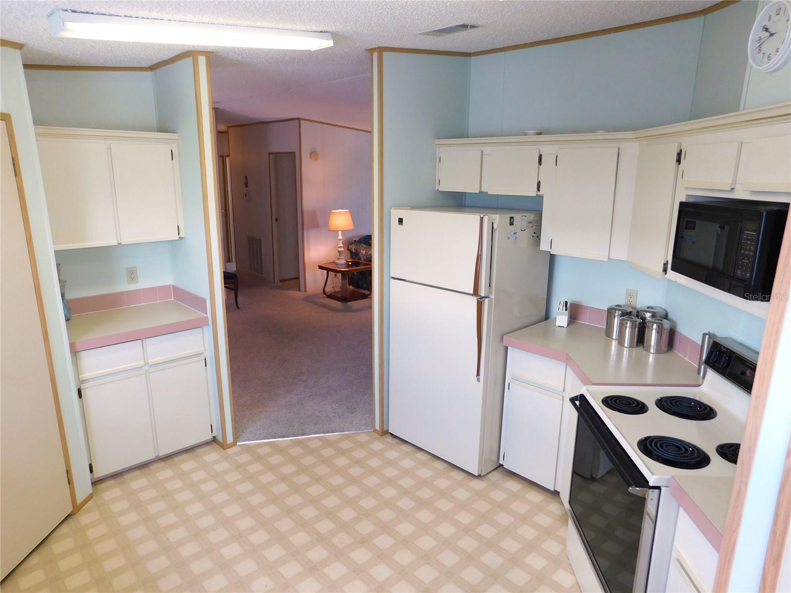 36819 KIOWA AVE, ZEPHYRHILLS, FL, 33542