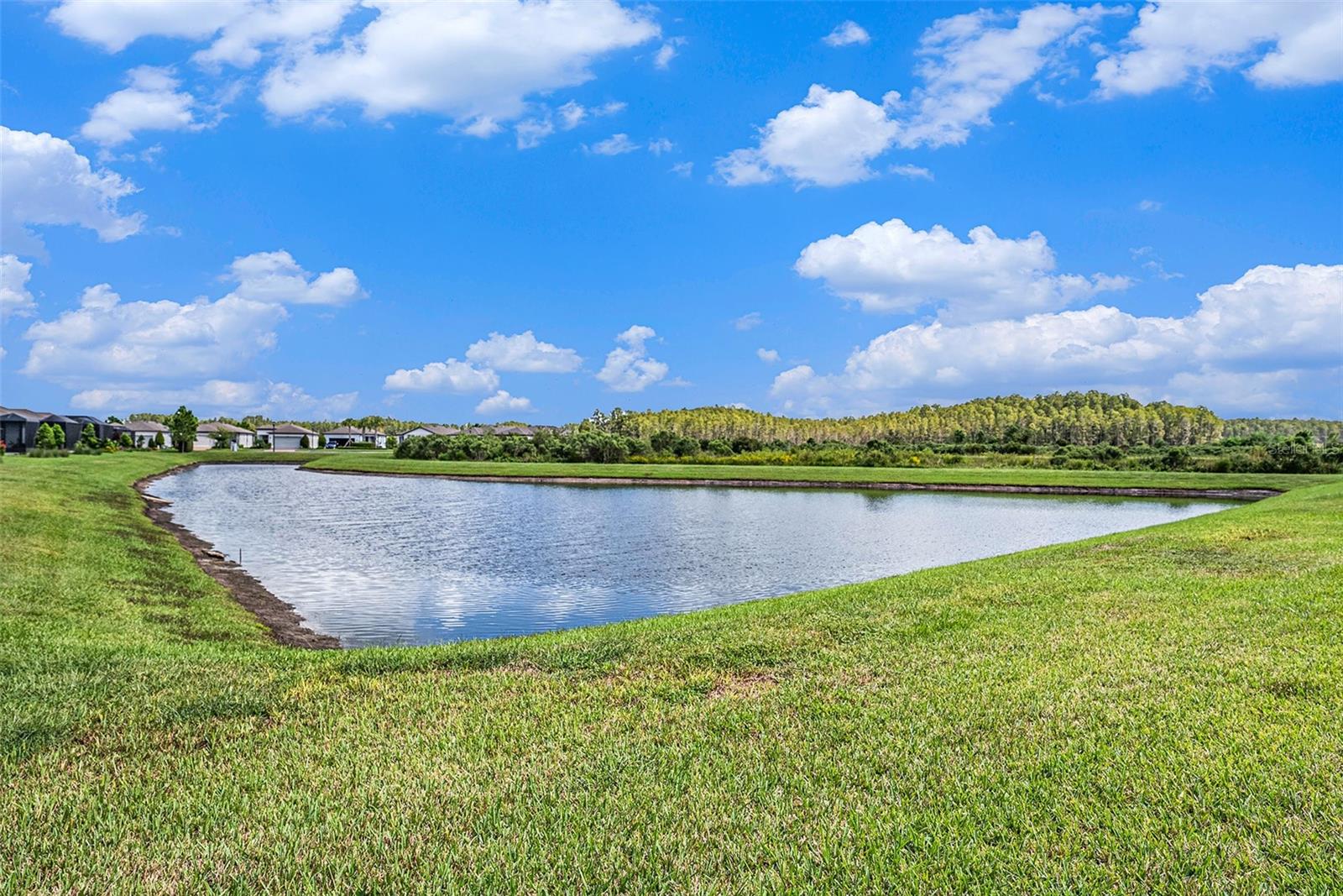 19865 SEA GLASS CIR, LAND O LAKES, FL, 34638