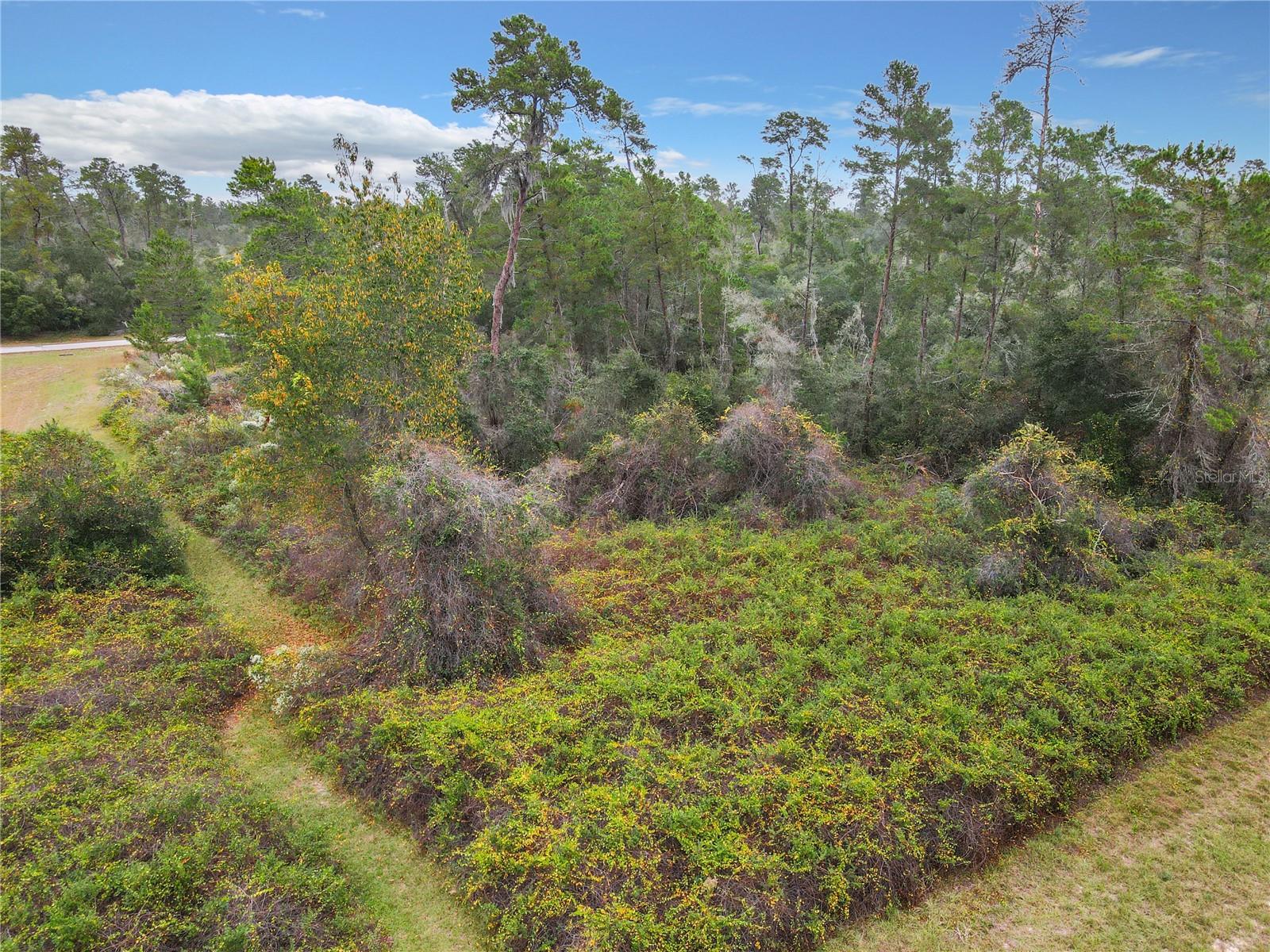 SW 32ND, OCALA, FL, 34473