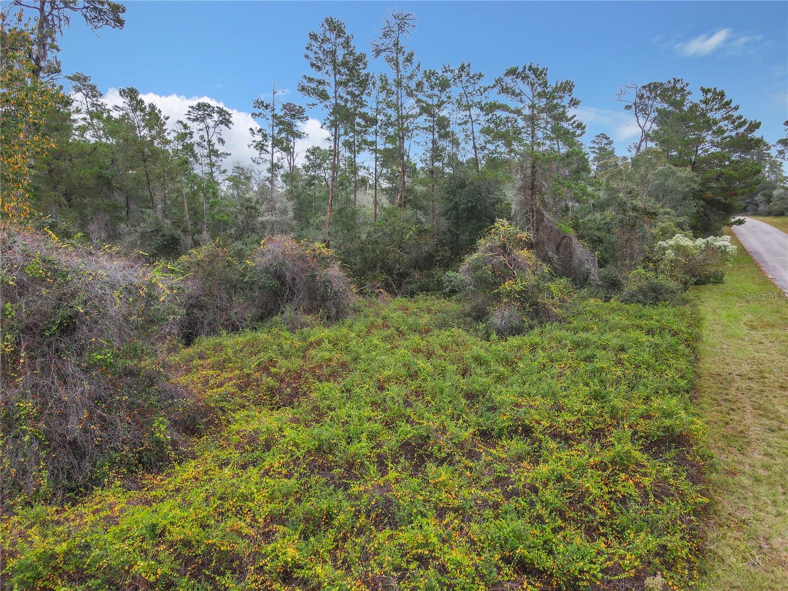 SW 32ND, OCALA, FL, 34473