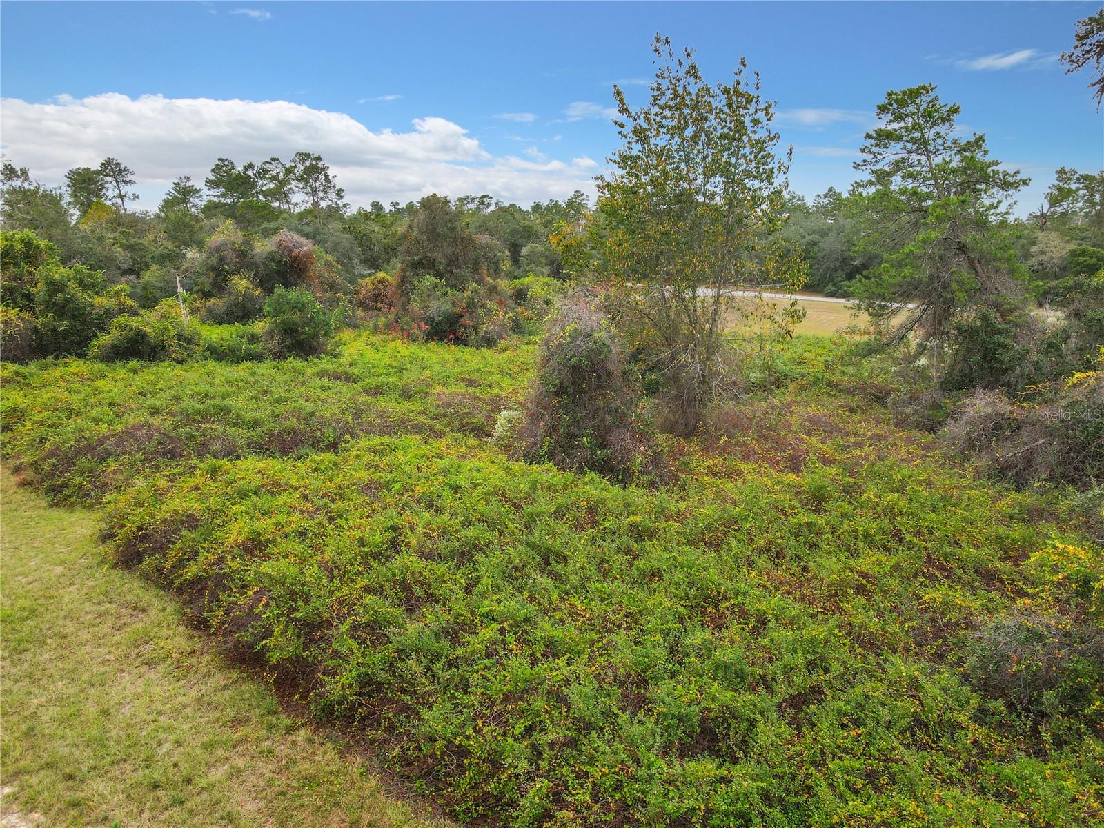 SW 32ND, OCALA, FL, 34473