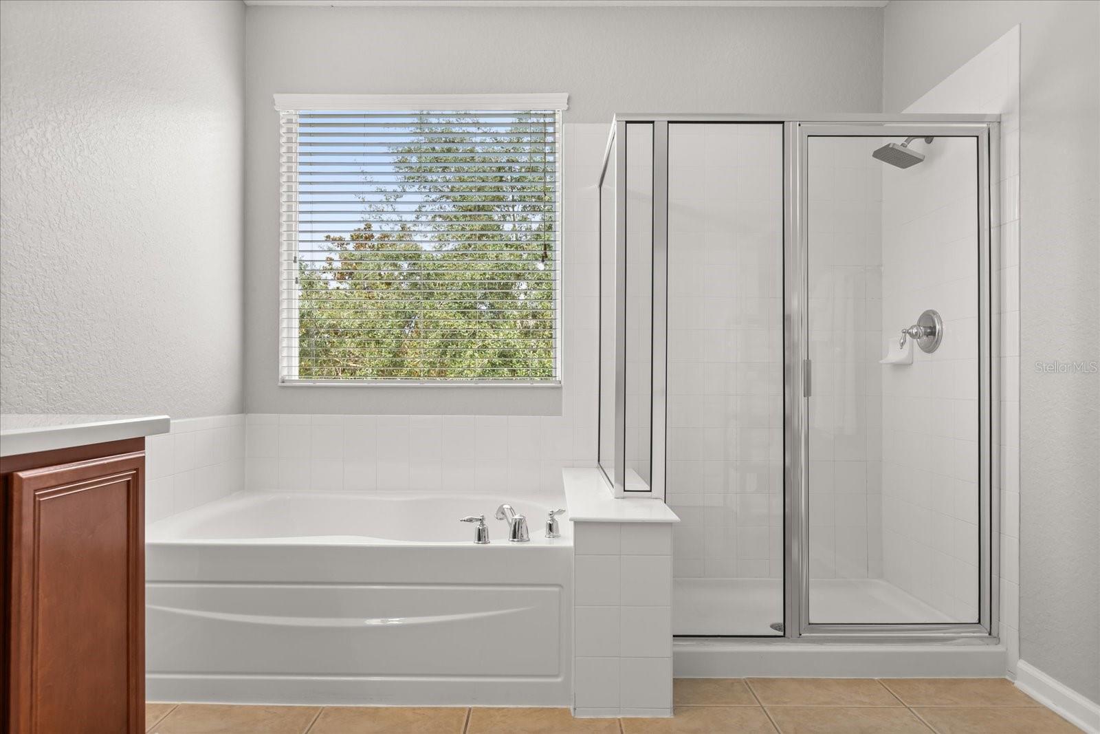 13327 FERNOW ST, WINDERMERE, FL, 34786