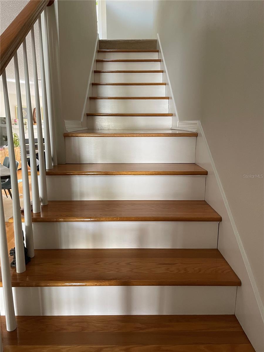 323 MADEIRA CIR, TIERRA VERDE, FL, 33715