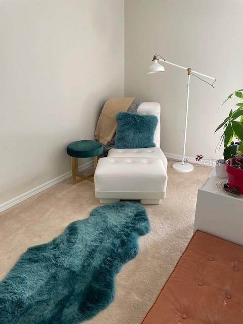 323 MADEIRA CIR, TIERRA VERDE, FL, 33715