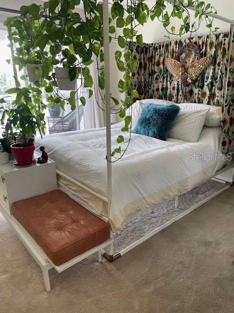 323 MADEIRA CIR, TIERRA VERDE, FL, 33715