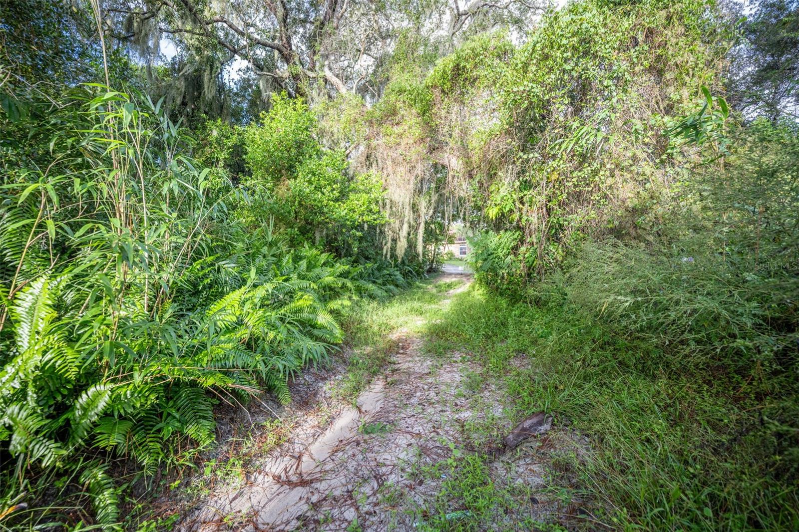 2163 VAN ORMAN DR, DELTONA, FL, 32725