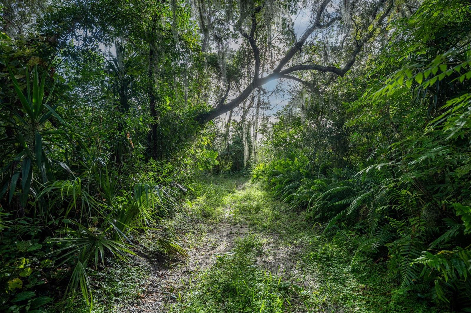 2163 VAN ORMAN DR, DELTONA, FL, 32725