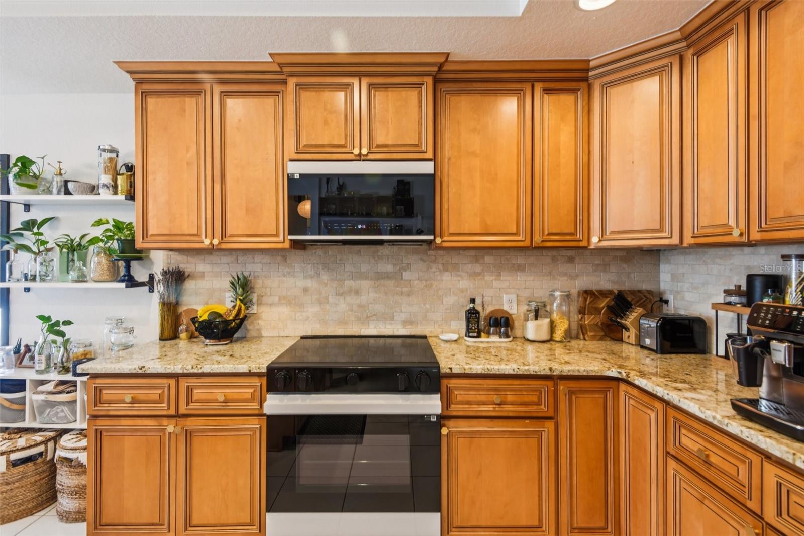 1266 PARADISE LAKE DR, TARPON SPRINGS, FL, 34689