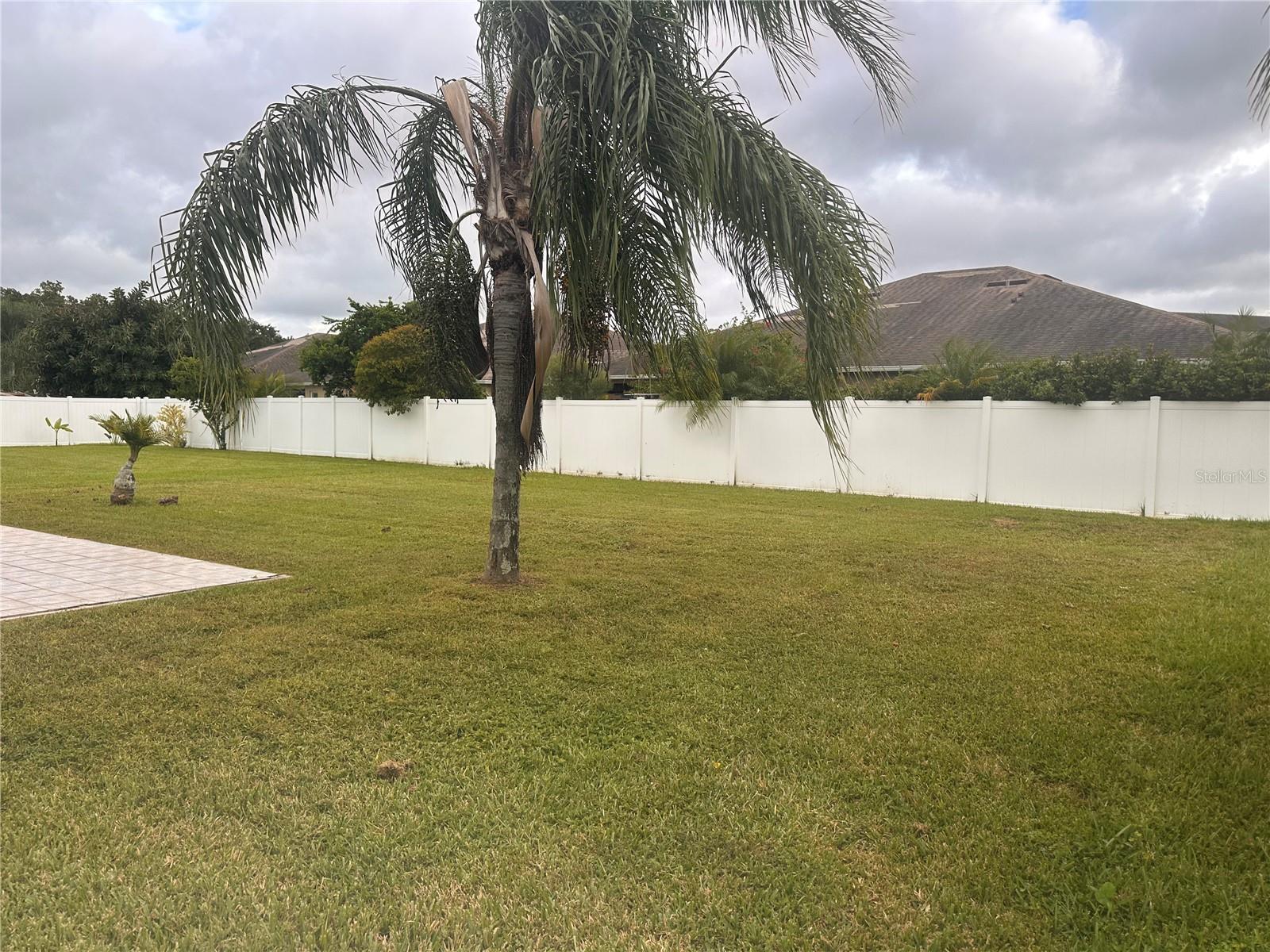 30252 INGALLS CT, WESLEY CHAPEL, FL, 33543