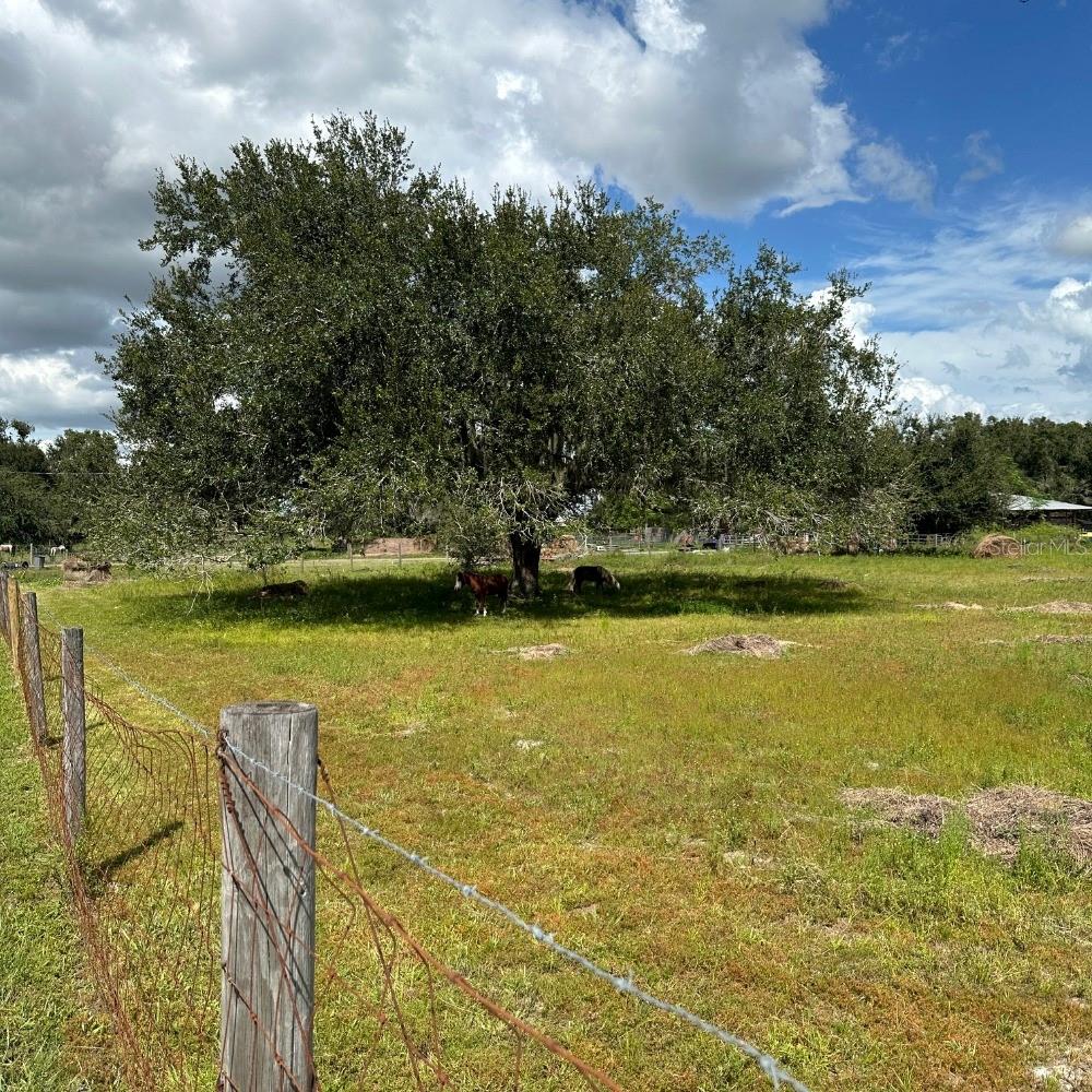 8530 BUNKER HILL RD, DUETTE, FL, 34219