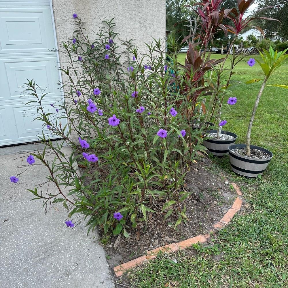 8530 BUNKER HILL RD, DUETTE, FL, 34219