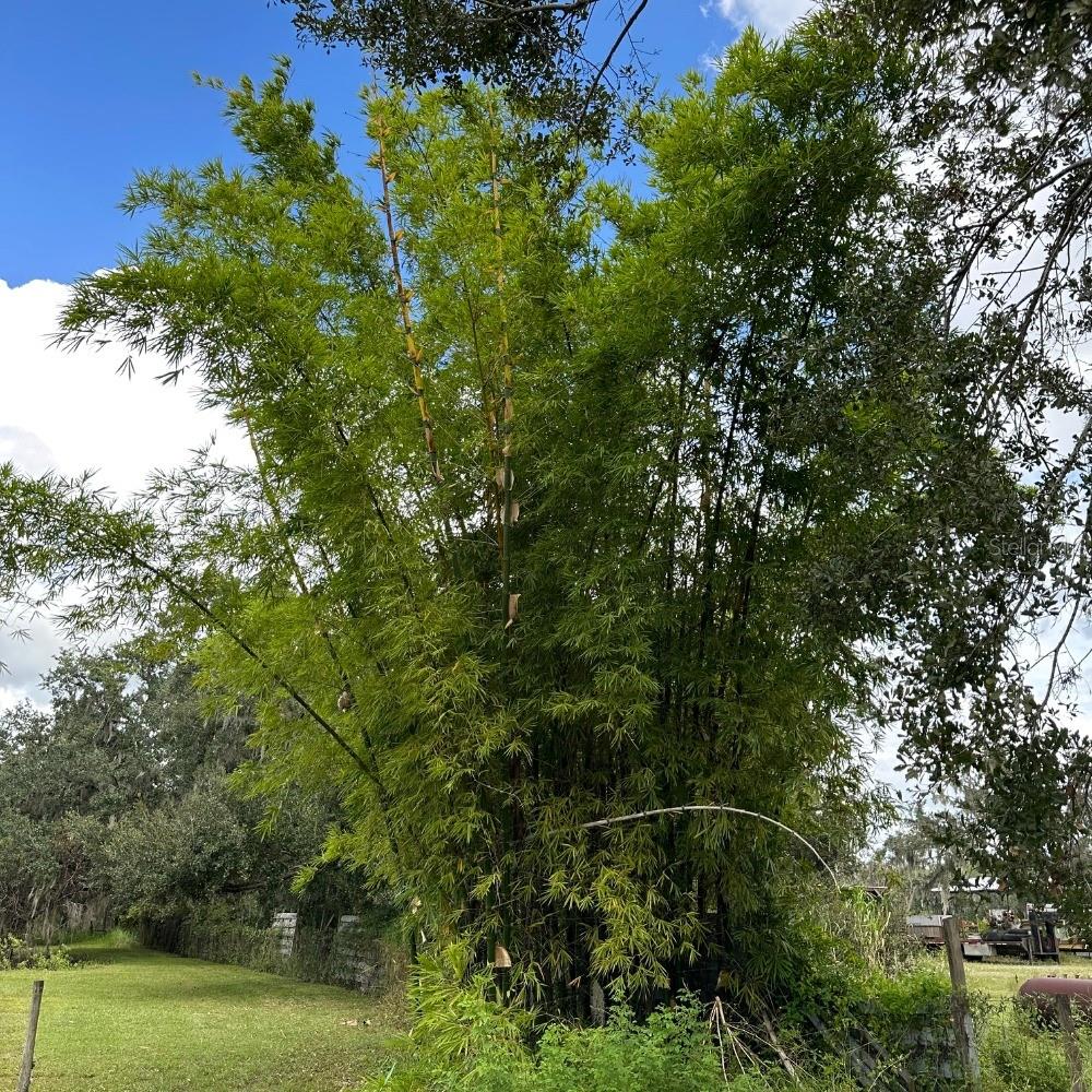 8530 BUNKER HILL RD, DUETTE, FL, 34219