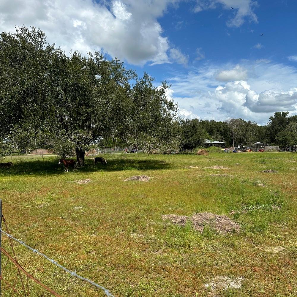 8530 BUNKER HILL RD, DUETTE, FL, 34219