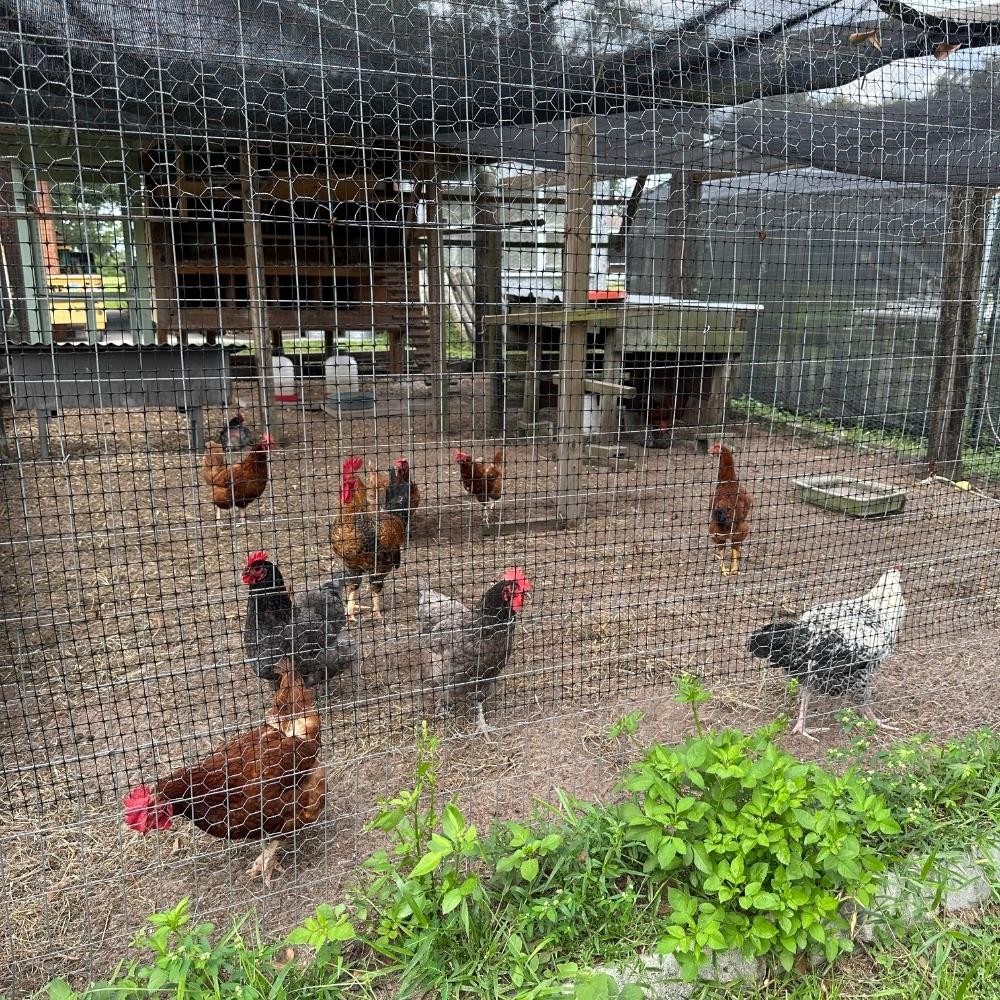 8530 BUNKER HILL RD, DUETTE, FL, 34219