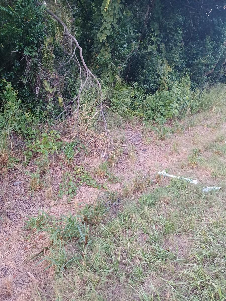 88 DIRKSEN DR, DEBARY, FL, 32713