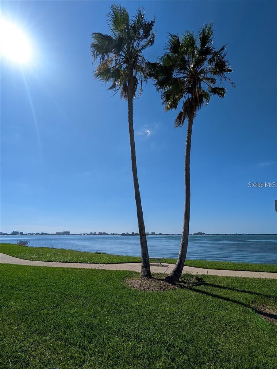 1920 SPRINGTIME AVE, CLEARWATER, FL, 33755