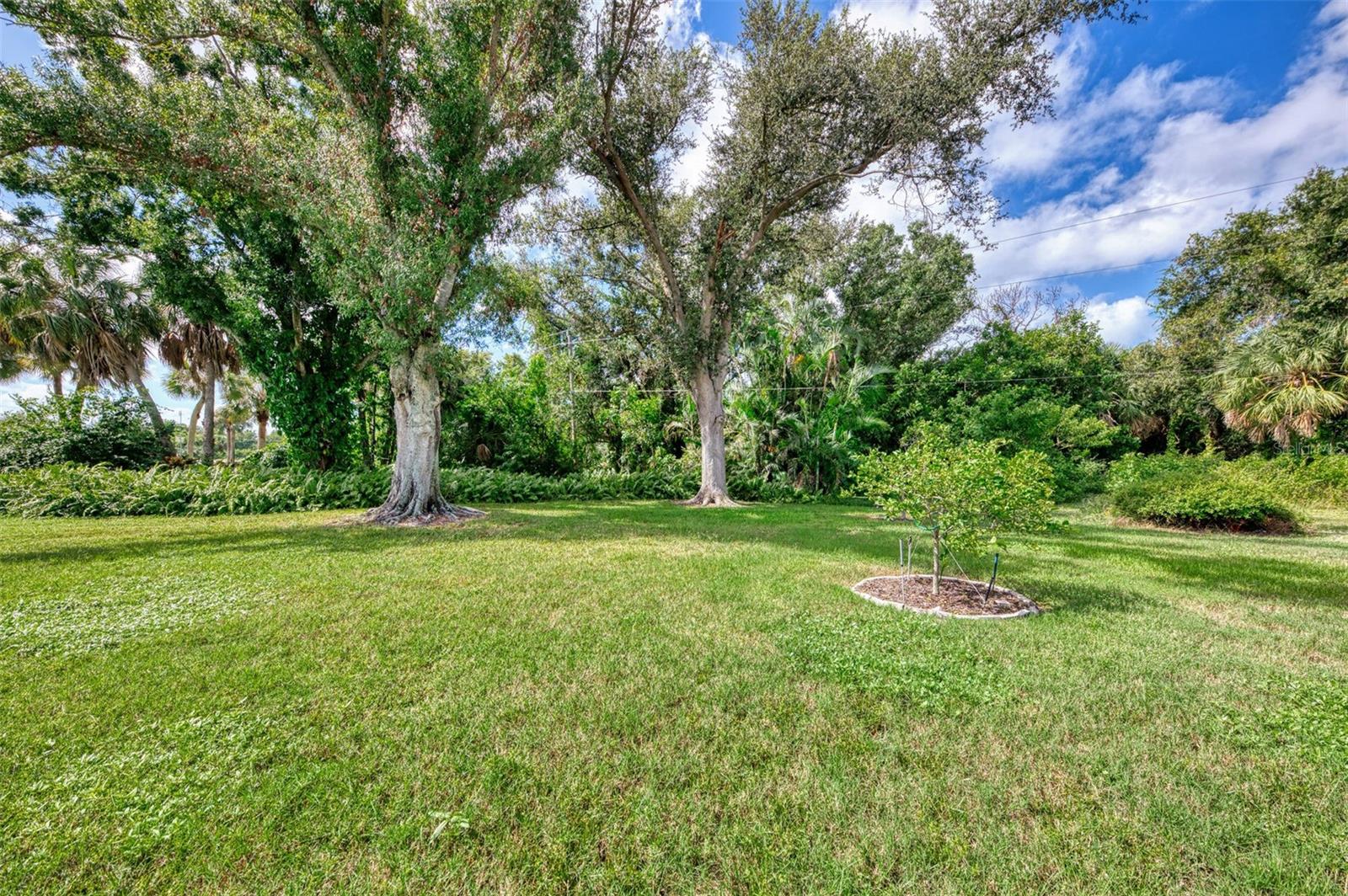 736 CONNEMARA CT, VENICE, FL, 34292