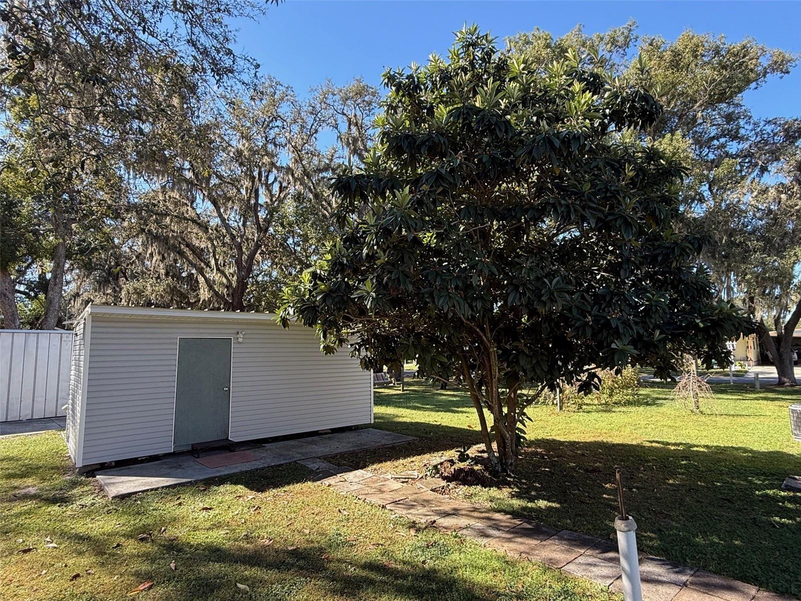 5102 HILL DR, ZEPHYRHILLS, FL, 33542