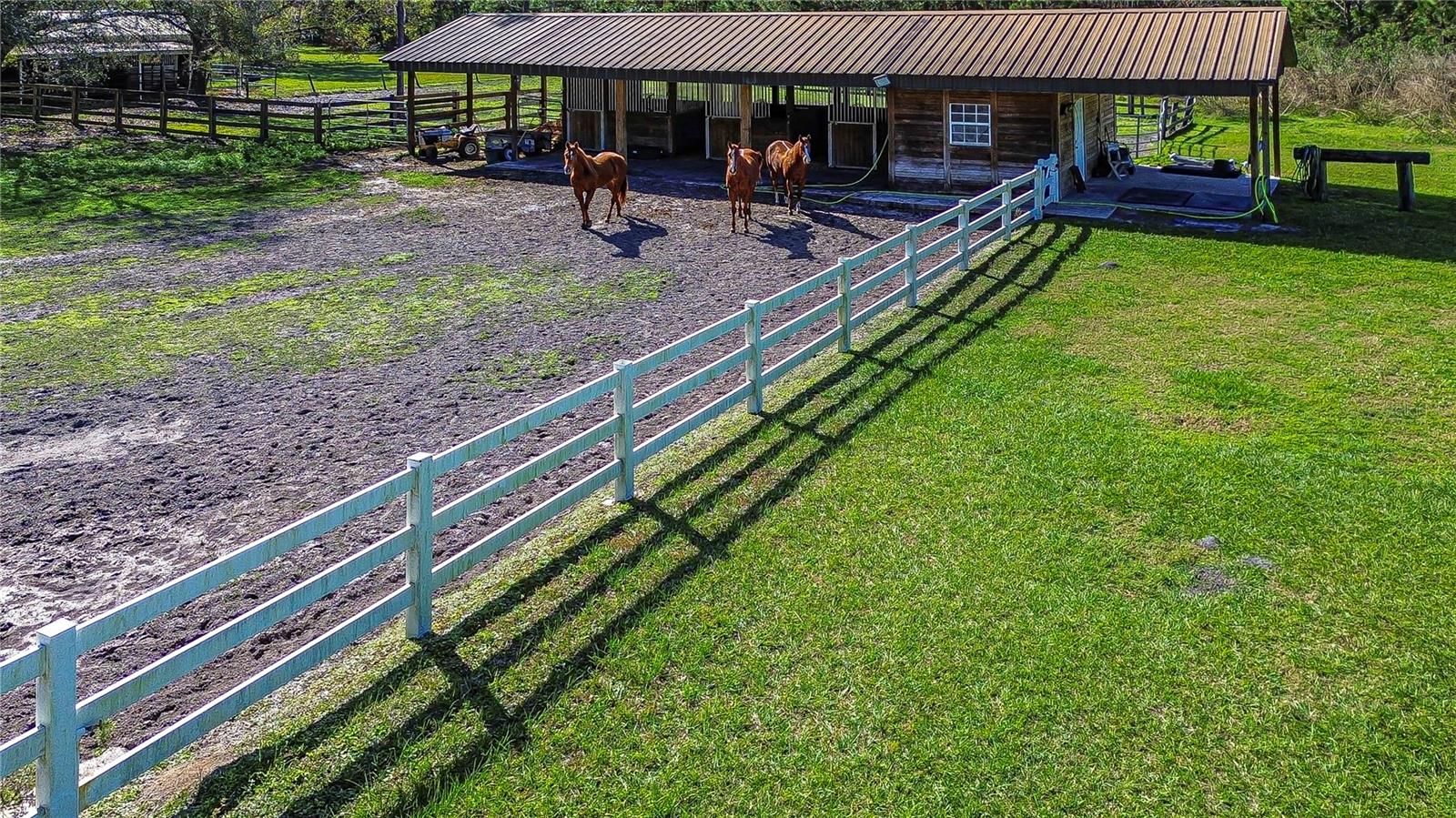 8345 SHENANDOAH RUN, WESLEY CHAPEL, FL, 33544