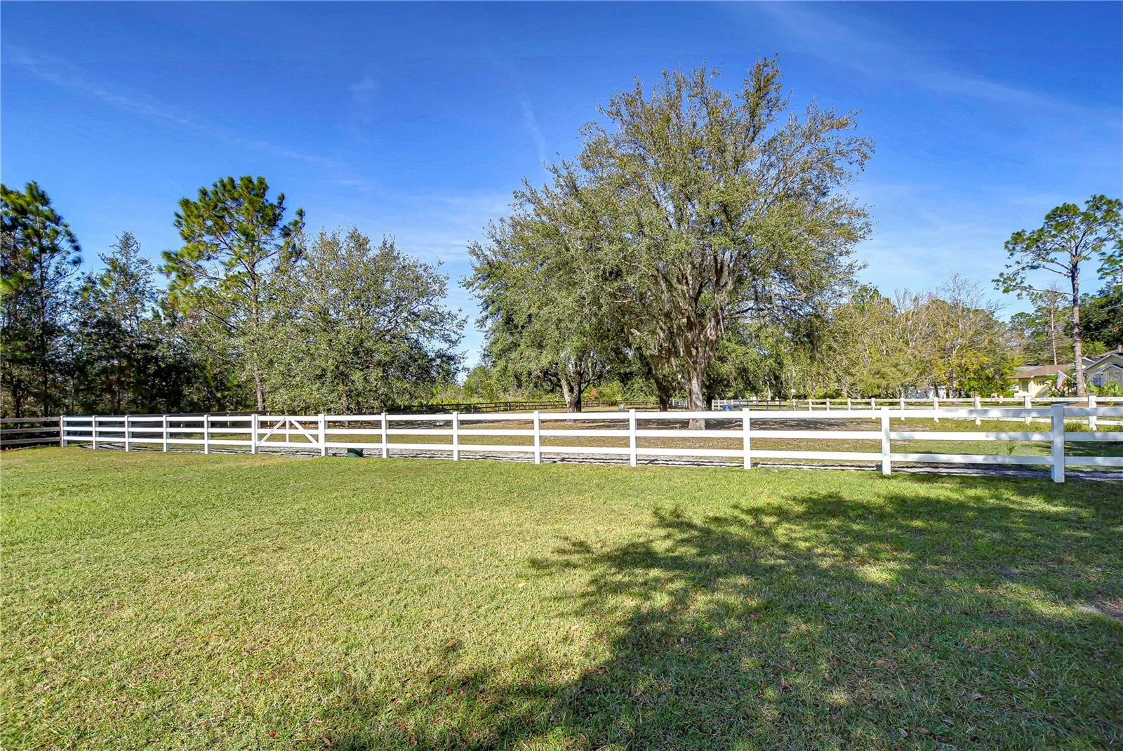 8345 SHENANDOAH RUN, WESLEY CHAPEL, FL, 33544