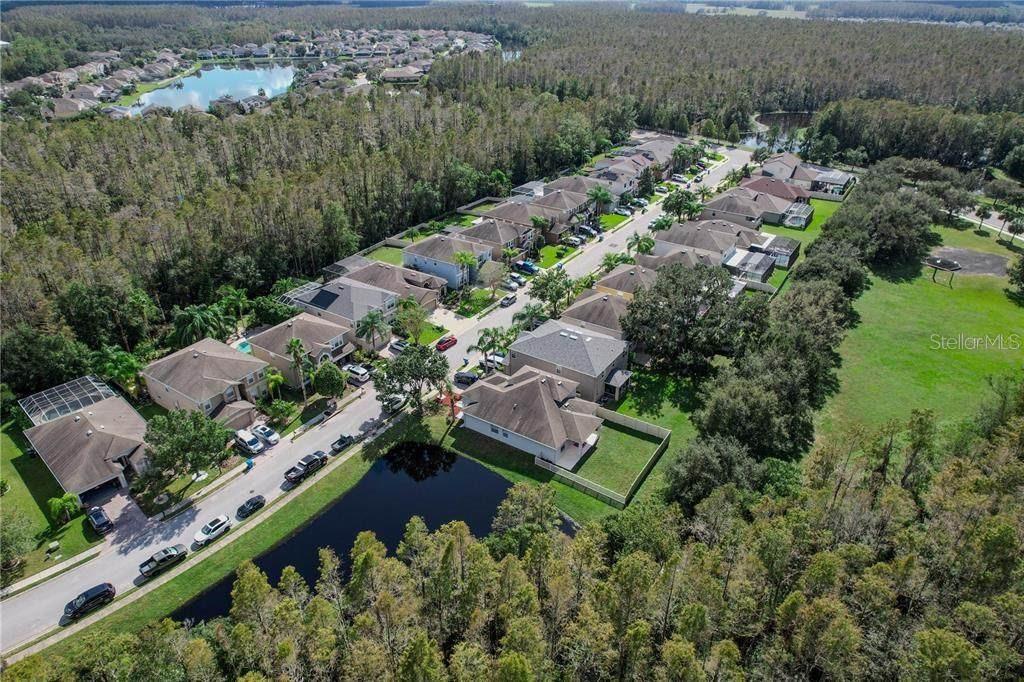 12847 SOLOLA WAY, TRINITY, FL, 34655