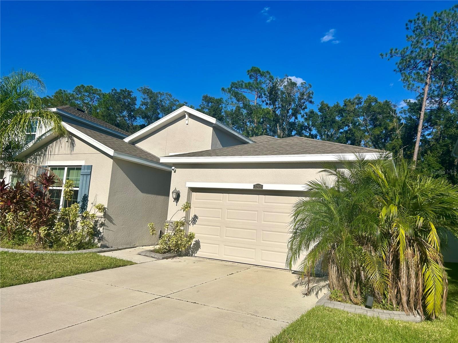 32959 SAND CREEK DR, WESLEY CHAPEL, FL, 33543