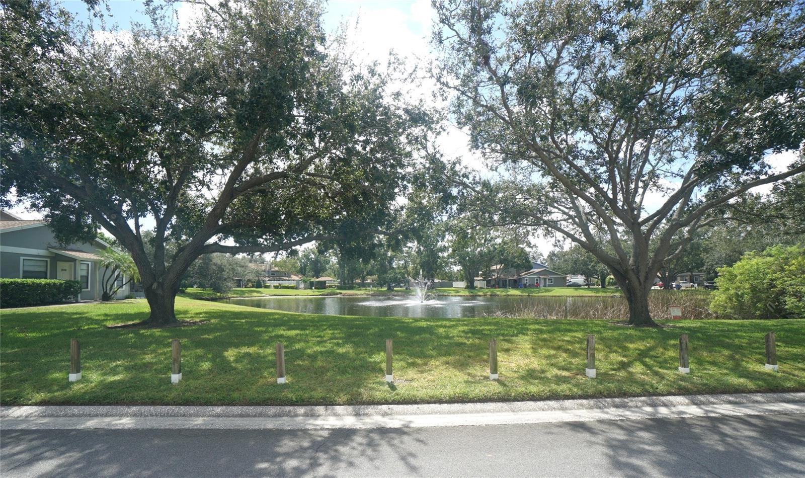 10049 LAKE OAK CIR, TAMPA, FL, 33624