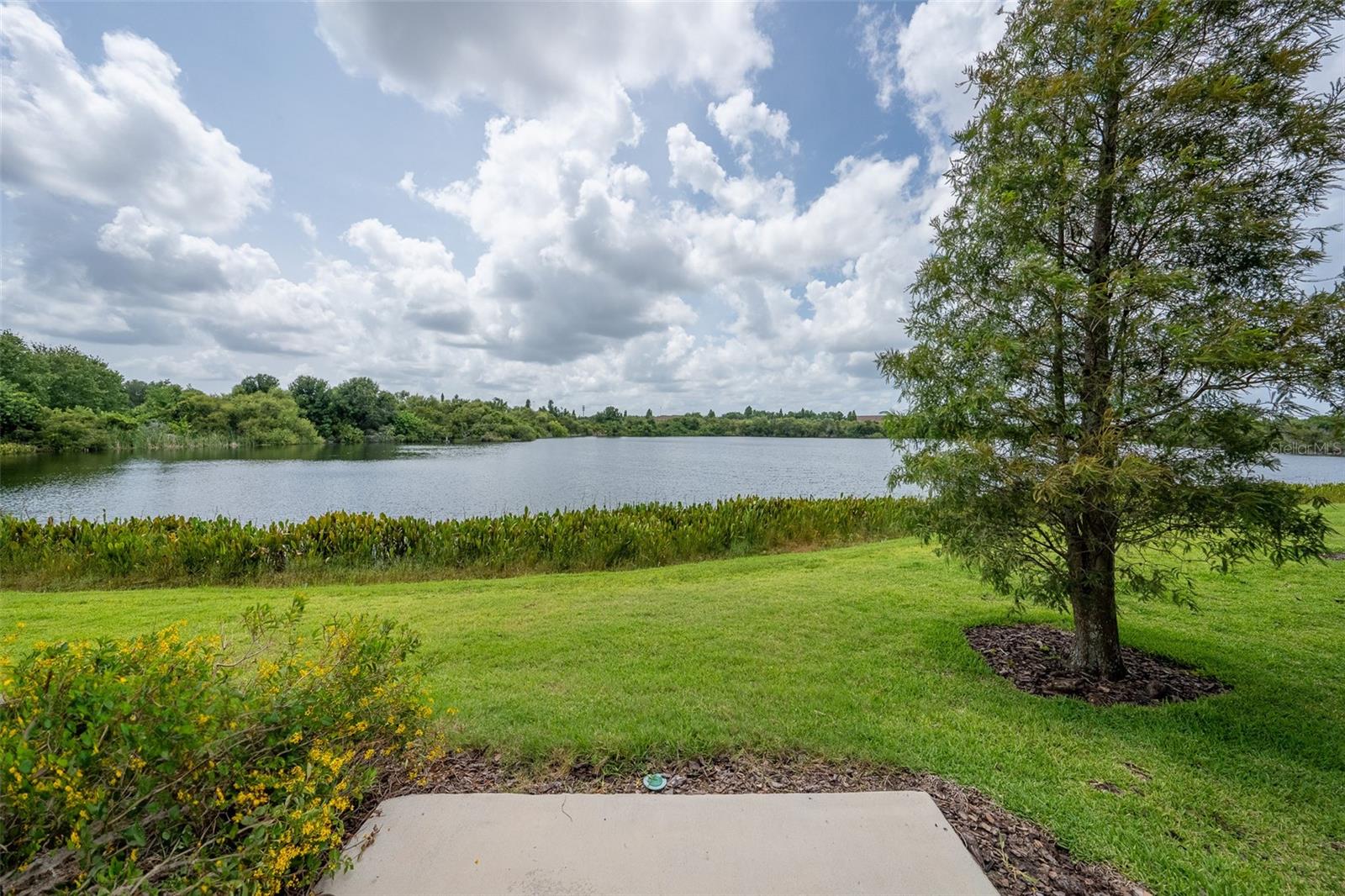 2425 LEXINGTON OAK DR, BRANDON, FL, 33511