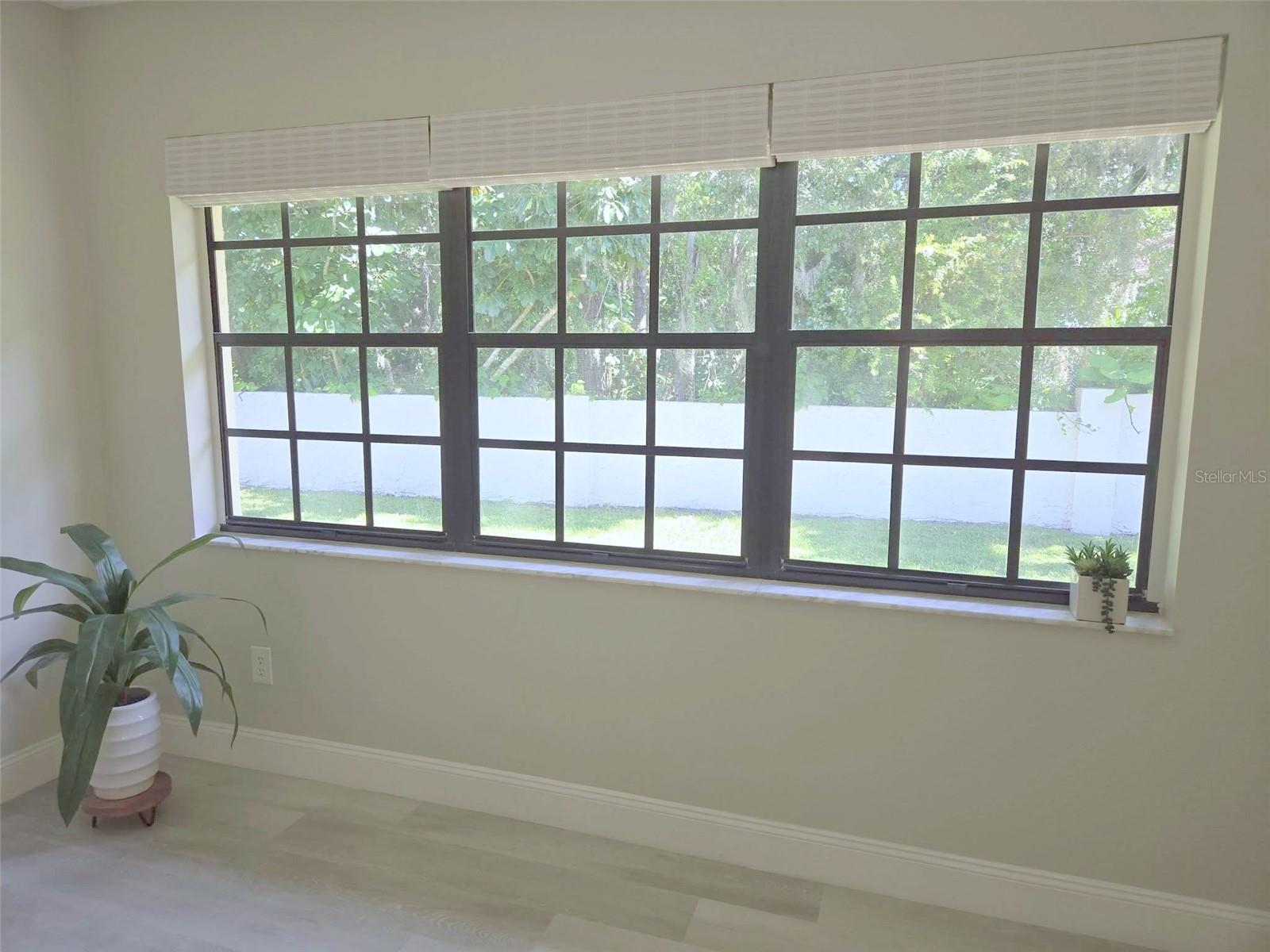 3497 BIRCHWOOD CT, PALM HARBOR, FL, 34684