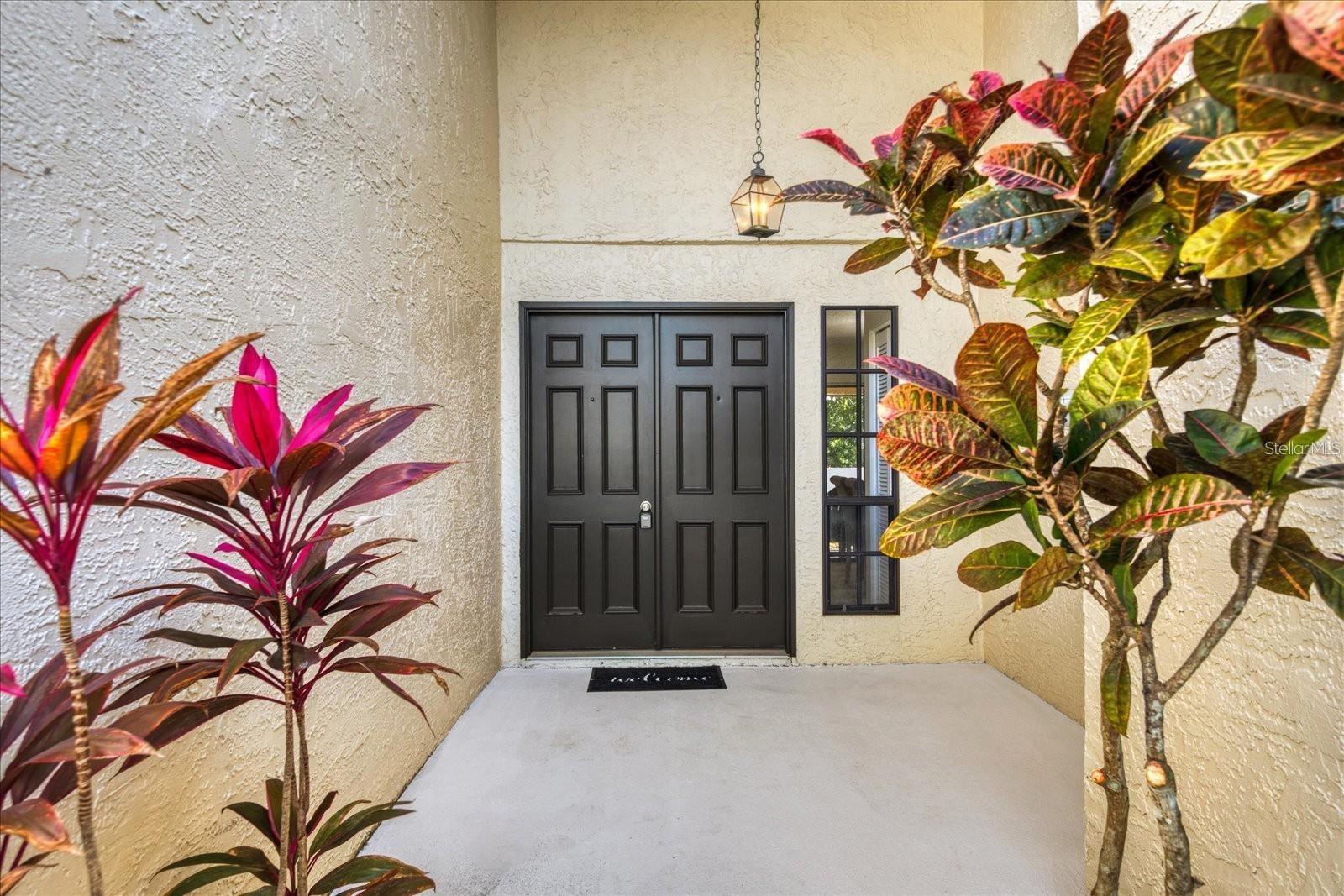 3497 BIRCHWOOD CT, PALM HARBOR, FL, 34684