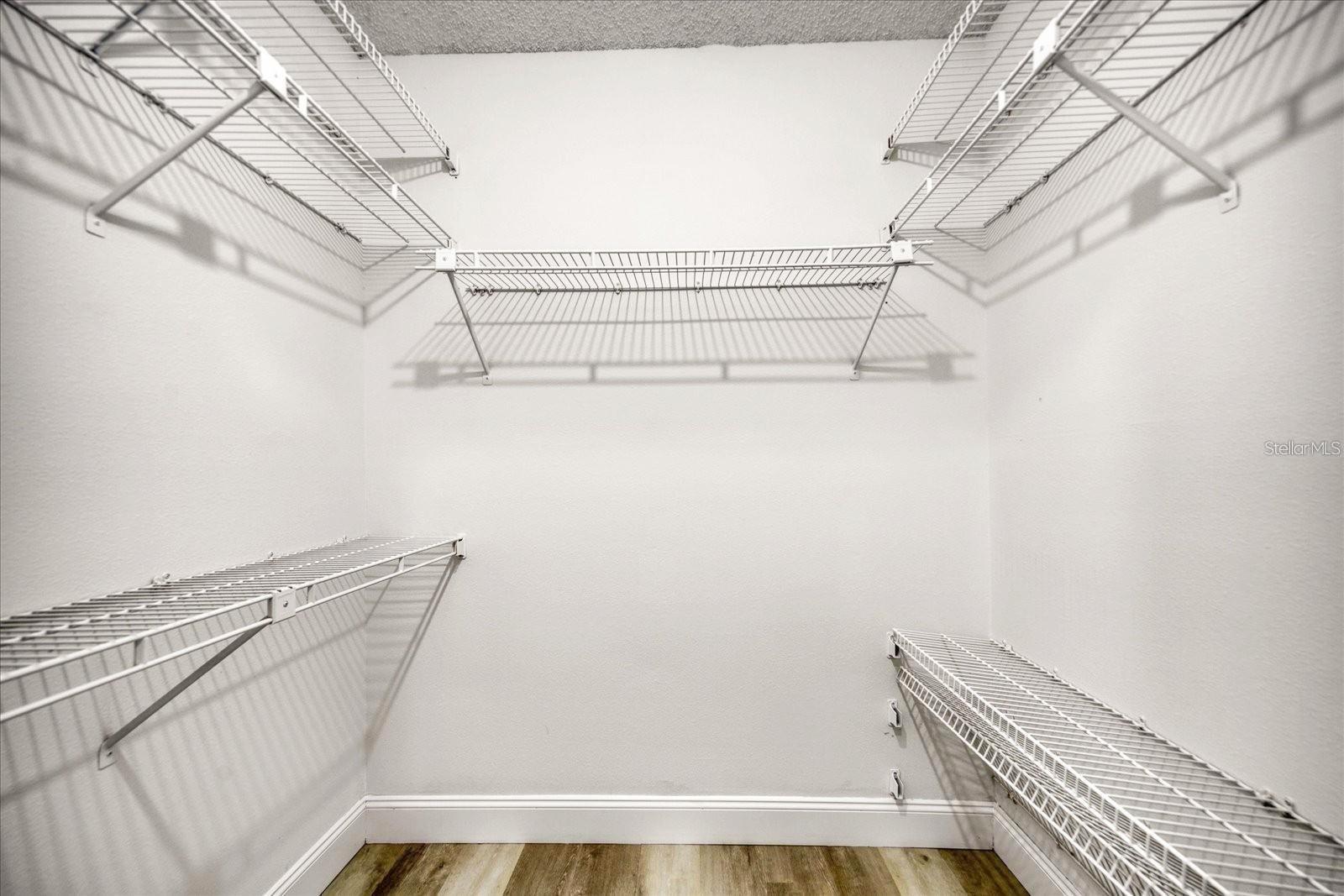 3497 BIRCHWOOD CT, PALM HARBOR, FL, 34684