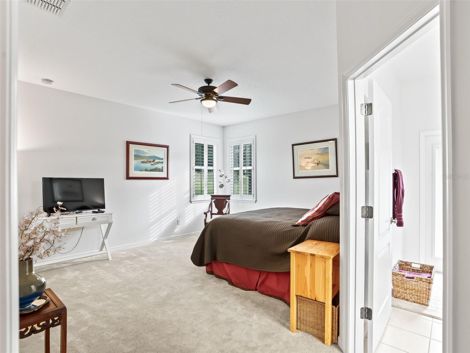 31318 SUNNY MEADOW CT, LEESBURG, FL, 34748