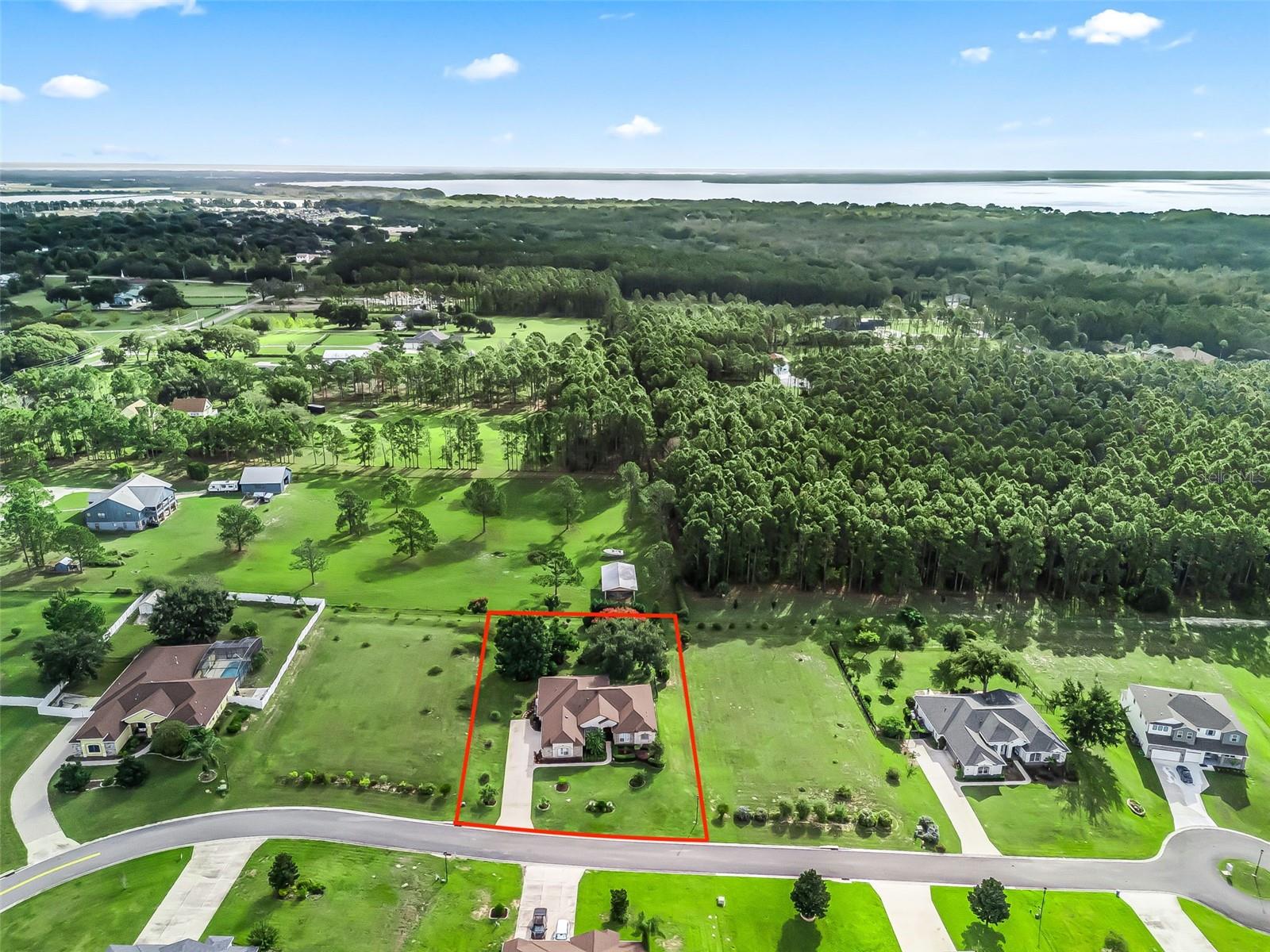 31318 SUNNY MEADOW CT, LEESBURG, FL, 34748