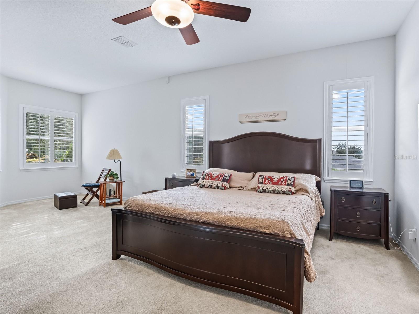 31318 SUNNY MEADOW CT, LEESBURG, FL, 34748